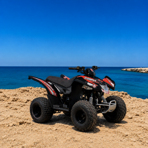 Aeon-Cobra-400cc-quad