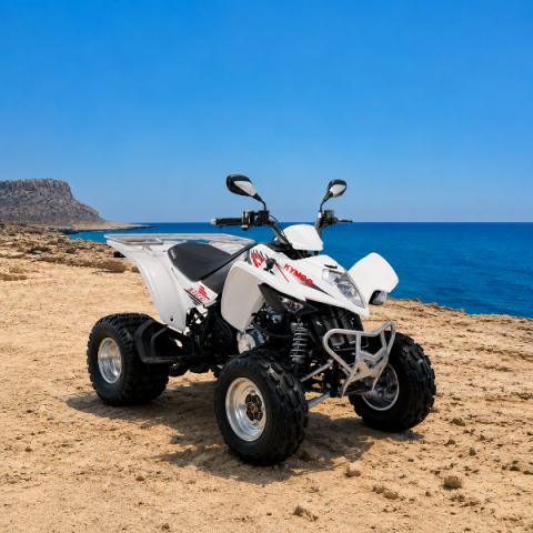 Kymco-Maxxer-300cc-quad