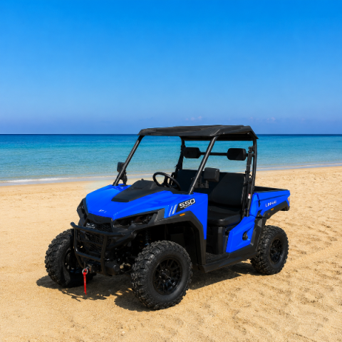 Linhai-T-Boss-550cc-buggy