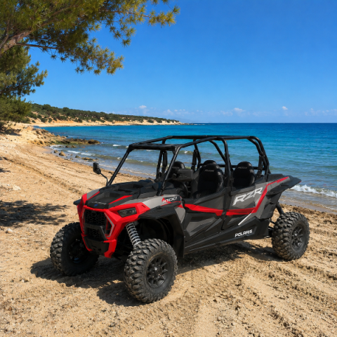 Polaris-RZR-1000cc-buggy