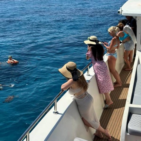 hajós kirándulás ciprusi teknősökkel