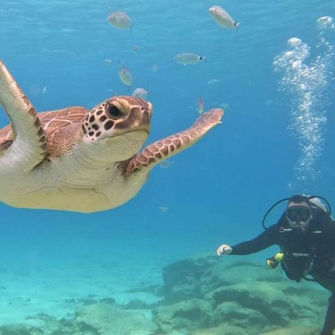 ciprus-buvar-program-scuba-diving