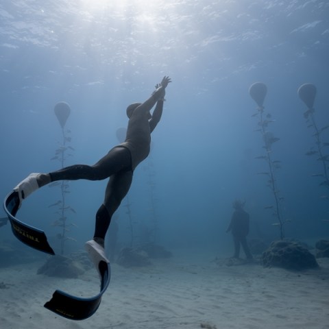 free diving kezdőknek, búvár program, szabadtüdős merülés kezdőknek, ciprus, ciprus sziget, búvár programok, ayia napa, protaras