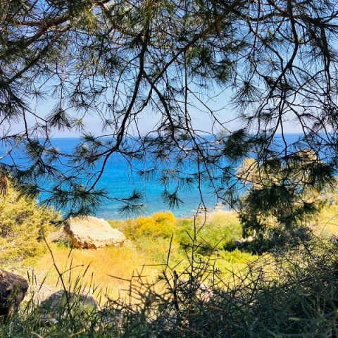 ciprus-husveti-program