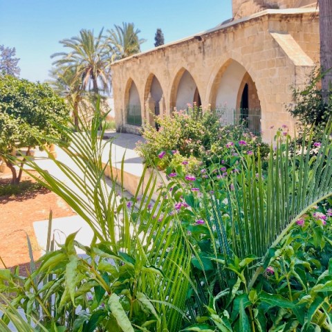 ciprus-larnaca-varosnezes