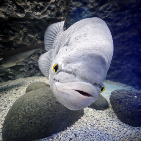 ciprusi-fakultativ-program-gyerekekkel