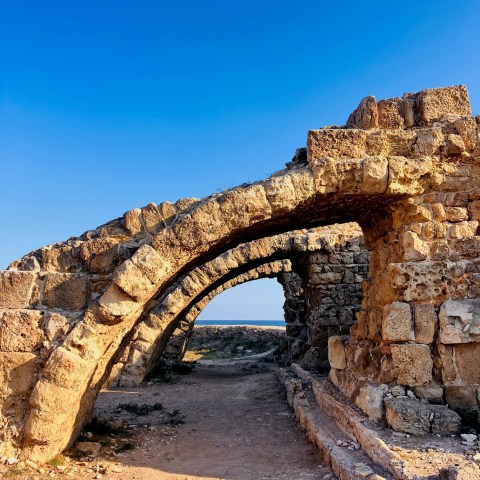salamis-fakultativ-program